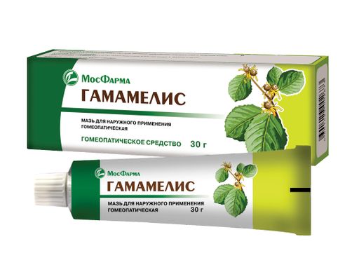 Гамамелис, мазь для наружного применения гомеопатическая, 30 г, 1 шт.