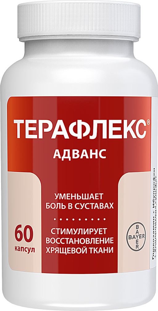 Терафлекс Адванс, 250 мг+100 мг+200 мг, капсулы, 60 шт. цена